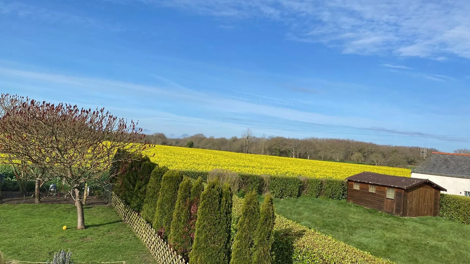 Le Gite Des Crapauds Rouges Treveneuc France
